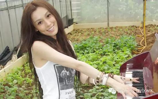 明星旅行糗事一籮筐 總有一個(gè)萌到你！