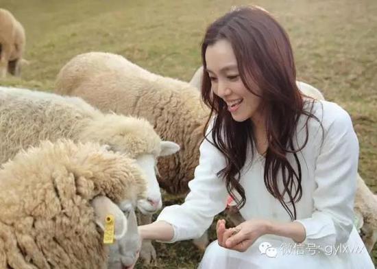 明星旅行糗事一籮筐 總有一個(gè)萌到你！