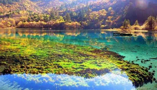 門(mén)票那么貴 沒(méi)法玩耍了！