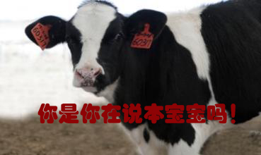 關(guān)我什么事！