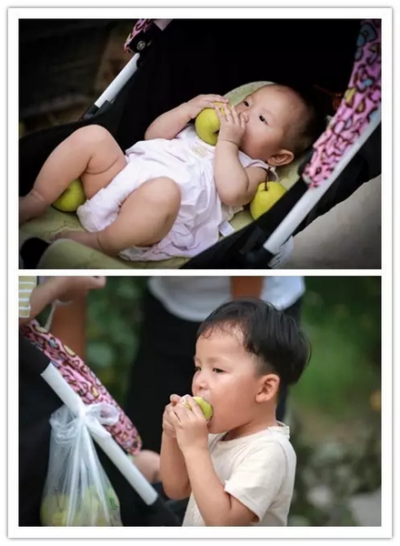 純天然無(wú)公害，新鮮采摘，直接入口！