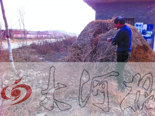 張哥、張弟就是在這兒撿到的投毒面包。