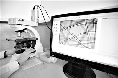 顯微鏡下，聚酯纖維很光亮，表面有斑點，粗細非常均勻。