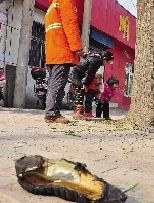 老漢右腿燒傷，樹下扔了一只燒焦的鞋