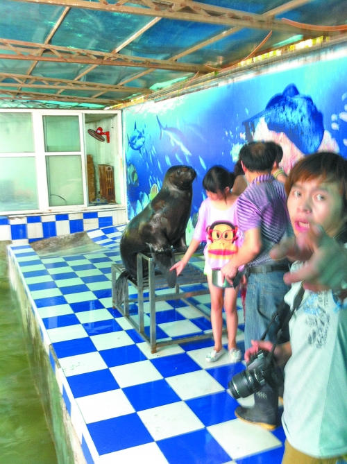 海獅館內的攝影師警惕性很高,禁止記者拍照。