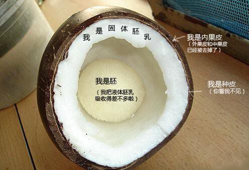 你在甜品店常吃的東西，到底都是啥？