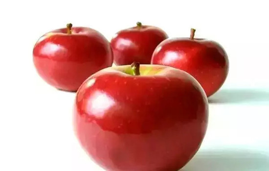 小心有毒！各種蔬果不能吃的部分