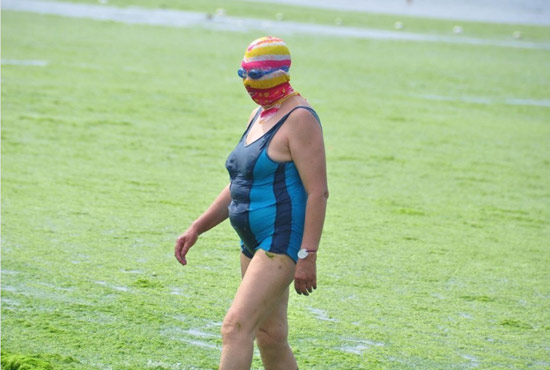 2013年7月3日，山東青島青島高溫來襲，“青島大媽”不懼滸苔，戴著“強(qiáng)盜面具”出現(xiàn)在海水浴場消暑降