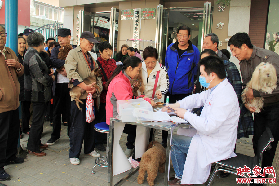 市民排隊(duì)為愛犬辦證