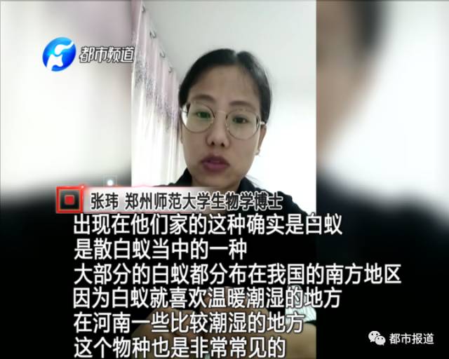 蟻?zhàn)宕筌娙肭?！十幾萬(wàn)裝修的新家被“吃掉”