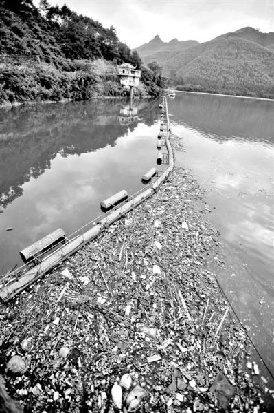 7月7日，廣西賀州市賀江合面獅段被污染的水域。據(jù)新華社