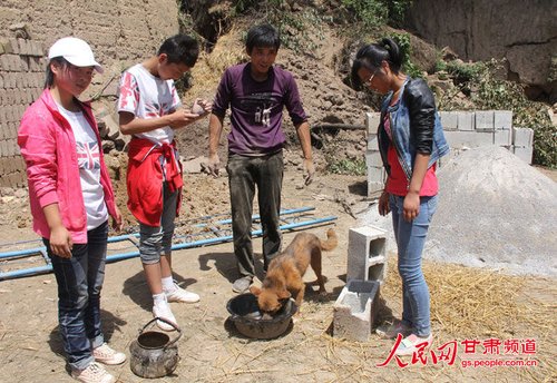 渴壞了的小黃狗在喝水。王生元/攝