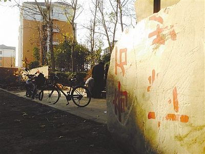 昨日，“上海奇石盆景博物館”原址上，已矗立起小區(qū)樓盤，而刻著博物館名的巨石，廢棄在一旁。本版圖片/新京報記者 張永生 攝