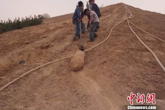 　4月27日上午，當(dāng)?shù)卮迕裨诠系販洗逡痪G化處挖出一枚長(zhǎng)1米，重200斤的炸彈，5月10日，這枚炸彈已