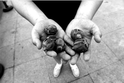 “大煙殼”輕易就可以買到。下圖：女?dāng)傊髂贸霾卦诩t色兜子里的“大煙殼”，向記者兜售。京華時(shí)報(bào)實(shí)習(xí)記者趙思衡攝