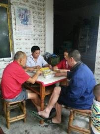 掃水掃不及，胥家鎮(zhèn)柏河村的居民干脆打起了麻將。