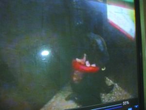 男子將侯某撲倒，侯某反抗。