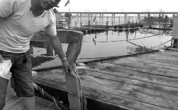 鼻孔里凝著血痂、全身多處擦傷的周先生仍有些驚魂未定。