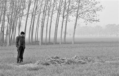 11月21日，高松中站在腦癱雙胞胎兒子墳前。