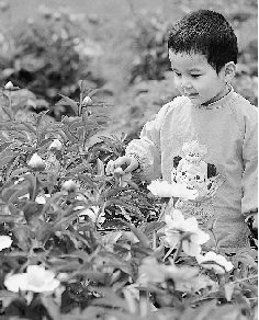 　春光里,鄭州處處皆美景。