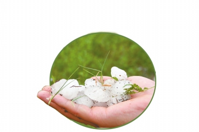 冰雹化了一些,還有這么大。