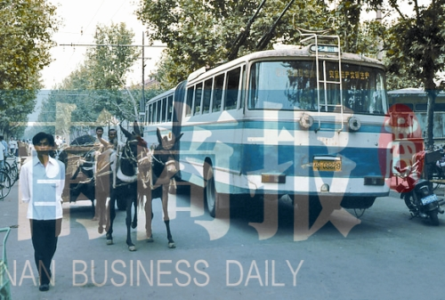 當年的伏牛路，驢車和公交車并行