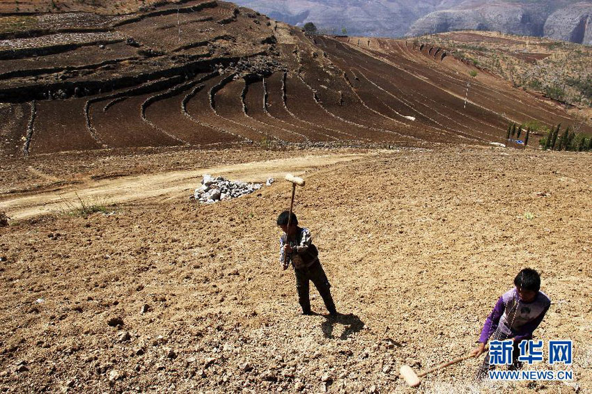 3月16日，在貴州省畢節(jié)市威寧縣斗古鄉(xiāng)中關(guān)村，兩個孩子幫助家人在干旱的土地上勞動。