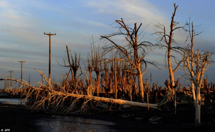 阿根廷一城市被淹25年后重見天日 阿根廷一城市被淹25年后重見天日