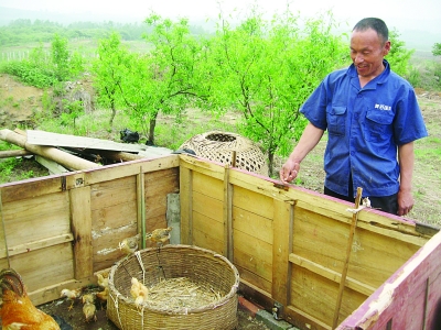 弟弟趙文富向記者介紹他們養(yǎng)雞的地方。