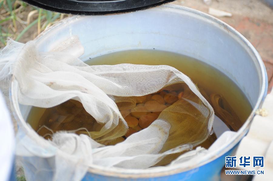 地下水成“綠茶”　污染二十多年該誰治？