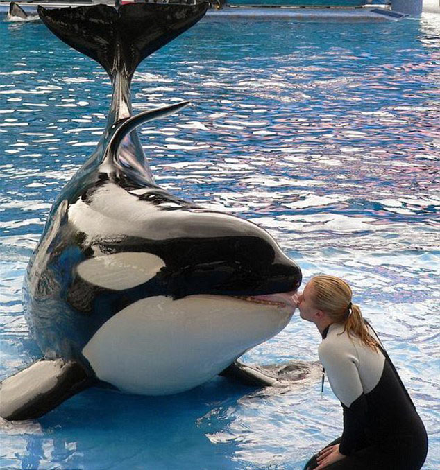 "美人魚(yú)情侶"的唯美愛(ài)情 "美人魚(yú)情侶"的唯美愛(ài)情