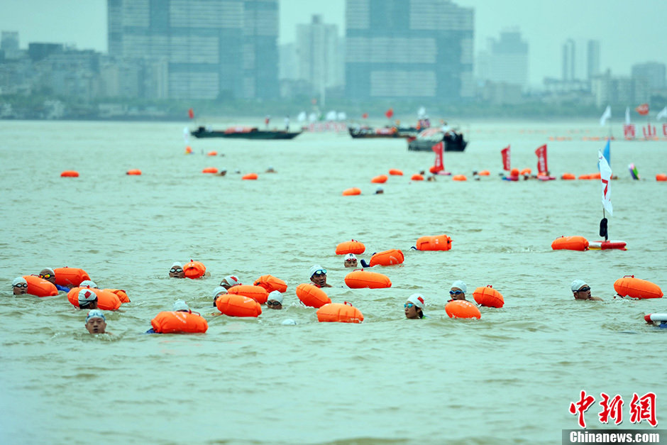 圖為江面上的橫渡方隊里的選手們劈波斬浪。中新社發(fā) 張暢 攝