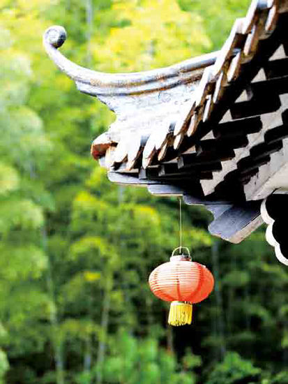 陽春三月赴江南 來一場春的約會(huì)