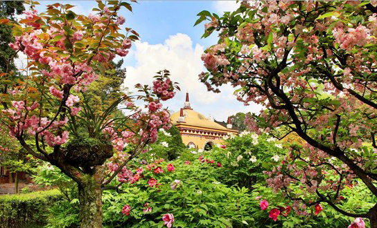 麻辣冬日二三五，芳菲三月看峨眉