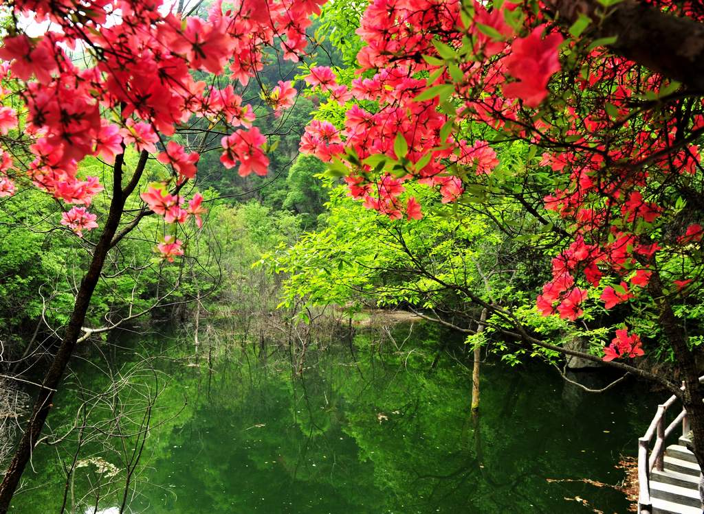 母親節(jié)河南景區(qū)優(yōu)惠大波來襲！