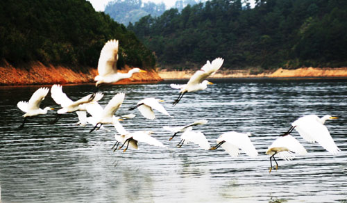 考完去哪兒？千島湖中、高考生門票大優(yōu)惠！