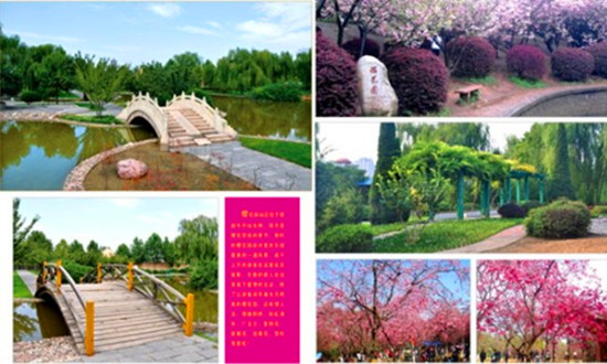 周末賞花歡樂(lè)行 鄭州世紀(jì)歡樂(lè)園 周末賞花歡樂(lè)行 鄭州世紀(jì)歡樂(lè)園