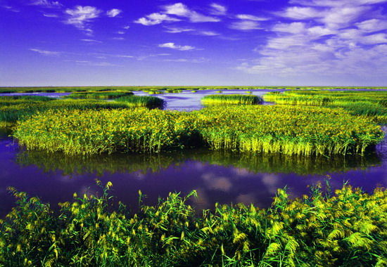 樂享綠色夏日 濕地公園生態(tài)親水之旅 樂享綠色夏日 濕地公園生態(tài)親水之旅