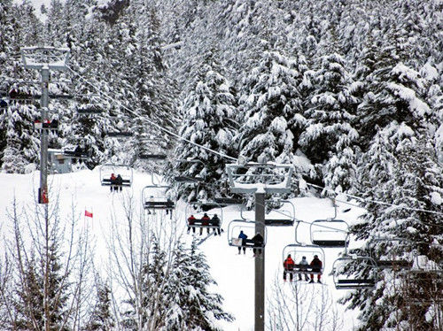 阿拉斯加，阿里耶斯卡