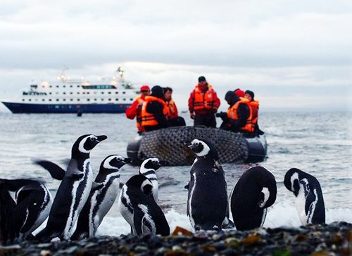 極地之旅 目睹南美合恩角神話(huà)般的美 極地之旅 目睹南美合恩角神話(huà)般的美
