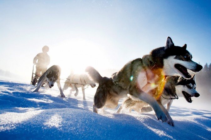 冬季貝加爾,適合享受冰上運(yùn)動(dòng),狗拉雪橇、雪上摩托車(chē)、雪地徒步等都是不錯(cuò)的選擇 F5.6,1/115秒