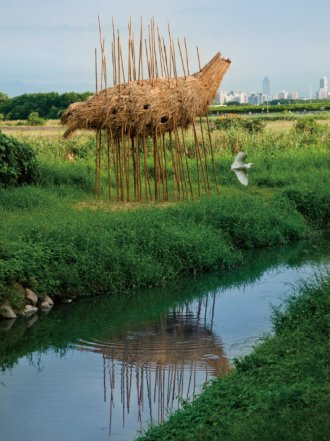 冬游臺(tái)灣 關(guān)渡賞鳥趣樂(lè)繽紛