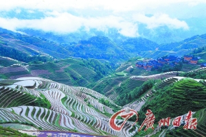 　　龍勝梯田大氣而立體。