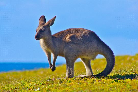 全家出國游去哪里？推薦十佳旅游勝地