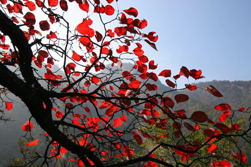 龍峪灣森林徒步中秋啟動 “混搭風(fēng)”引領(lǐng)金秋時尚 龍峪灣森林徒步中秋啟動 “混搭風(fēng)”引領(lǐng)金秋時尚