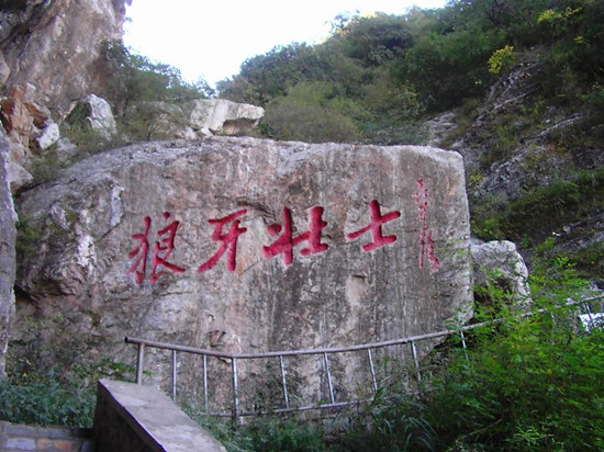 流動的足跡 高鐵上的旅游 流動的足跡 高鐵上的旅游