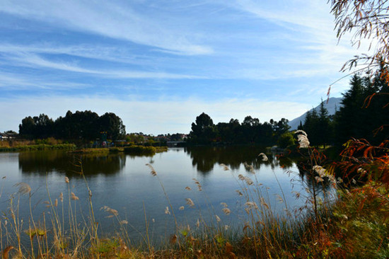 春城無處不飛花 昆明翠湖 春城無處不飛花 昆明翠湖