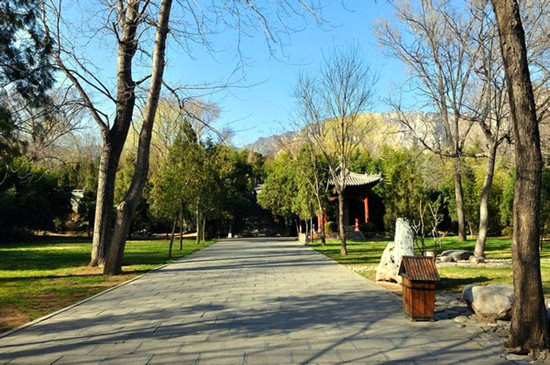 禪武兼修 身心同安—少林寺 禪武兼修 身心同安—少林寺