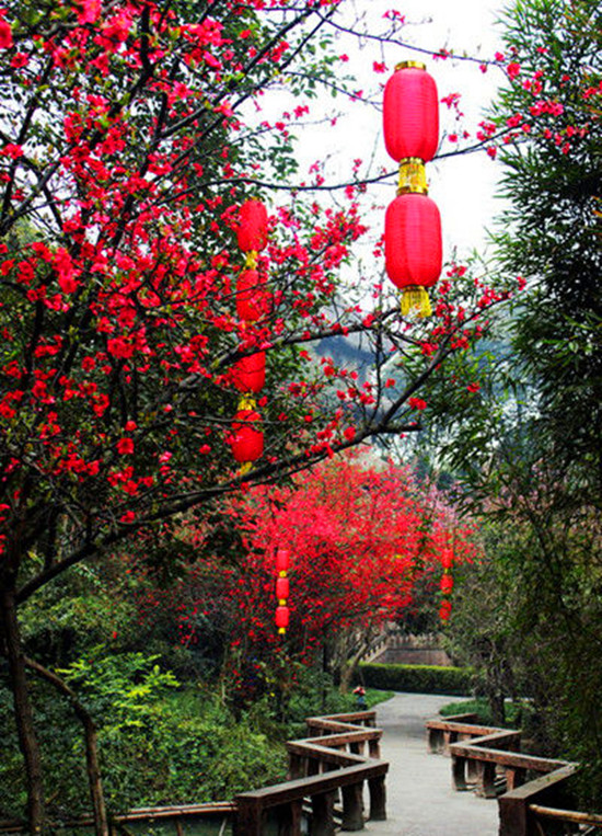 女人如花 隨侍甄嬛娘娘賞花去 女人如花 隨侍甄嬛娘娘賞花去