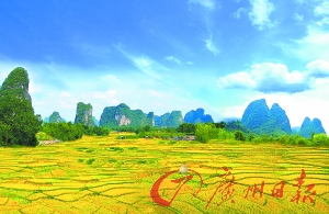 美食節(jié)品千雞宴 森林盛會(huì)秀才藝贏獎(jiǎng)品